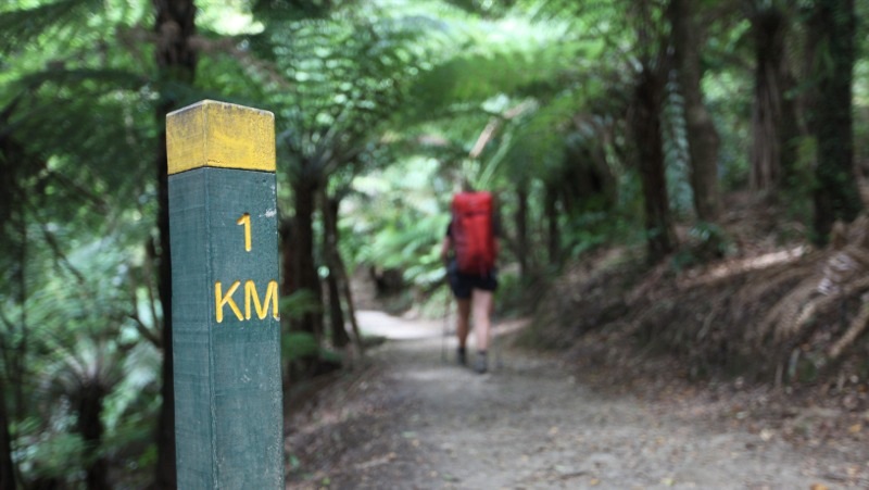 1km mark on Queen Charlotte Track