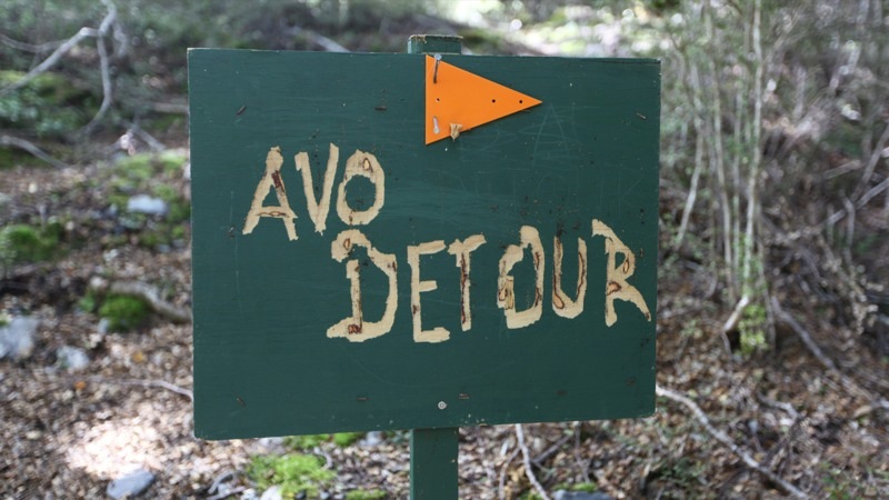 Avo Detour