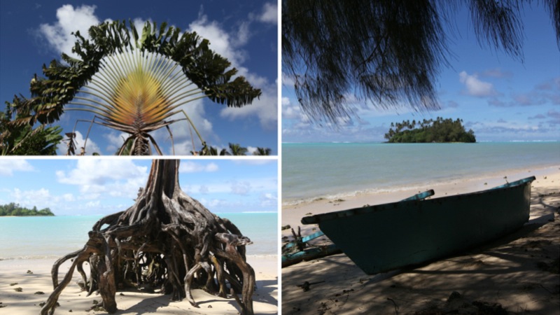 diptic of beach tree, sun tree, boat & Island