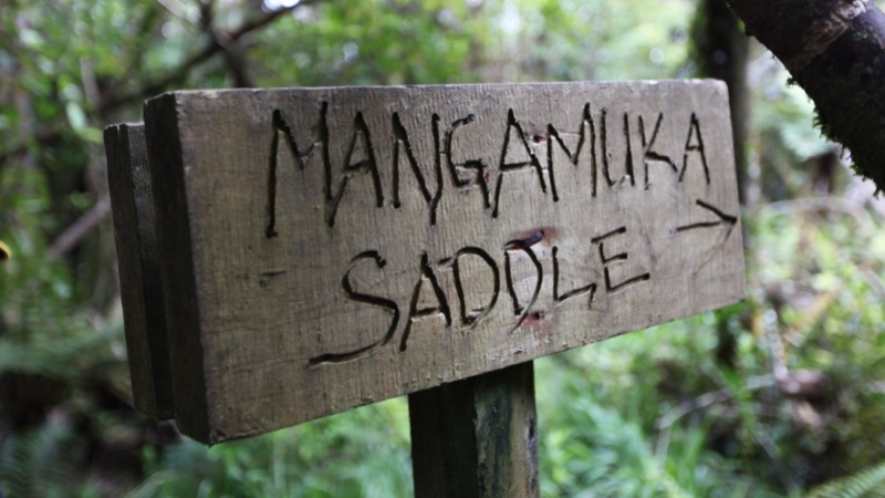 Mangamuka Saddle