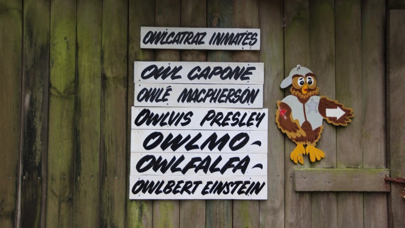 Owlcatraz