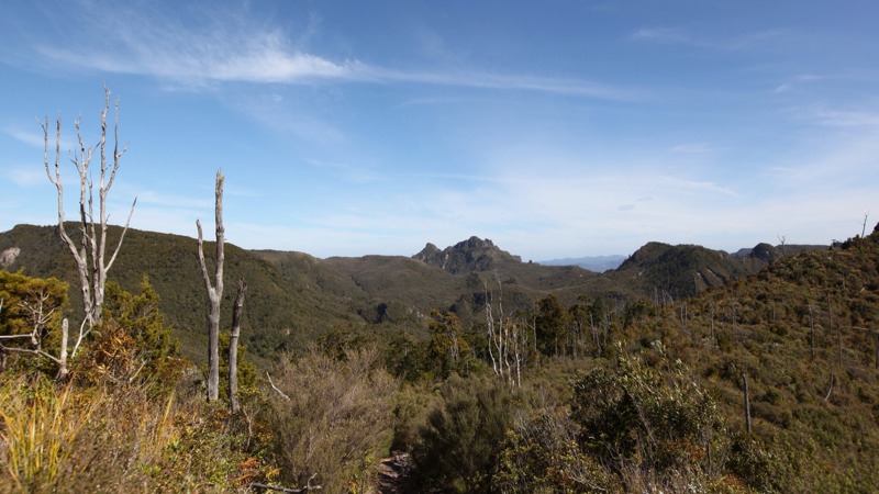 Pinnacles in the Distance