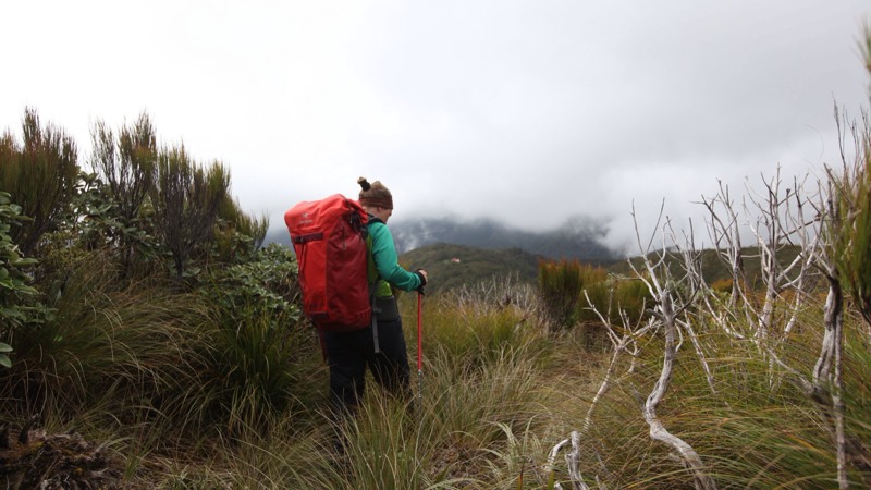 Nicky Walking Back to Te Matawai Hut through the clouds