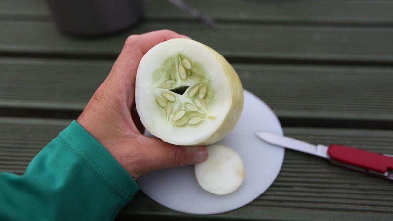 Cucumber Apple Carving in Camp