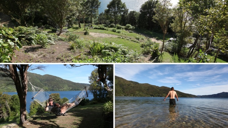 Probably the best campsite in New Zealand