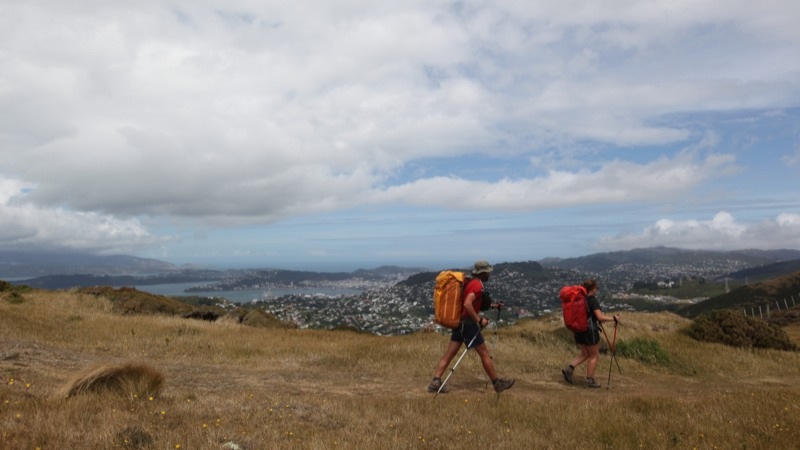 View over Wellington